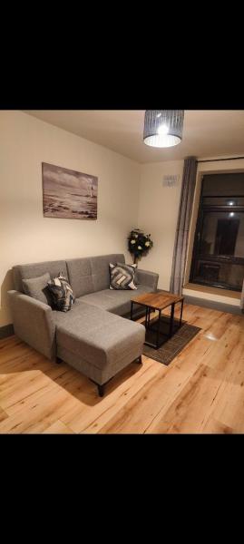 Cozy town apartment